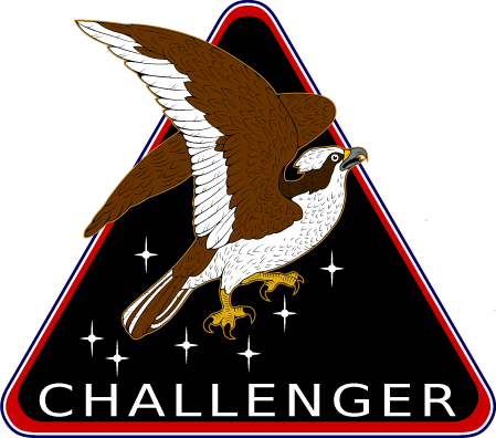 File:Challenger Artemis patch.png
